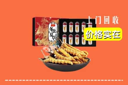 酒泉市瓜州回收冬虫夏草
